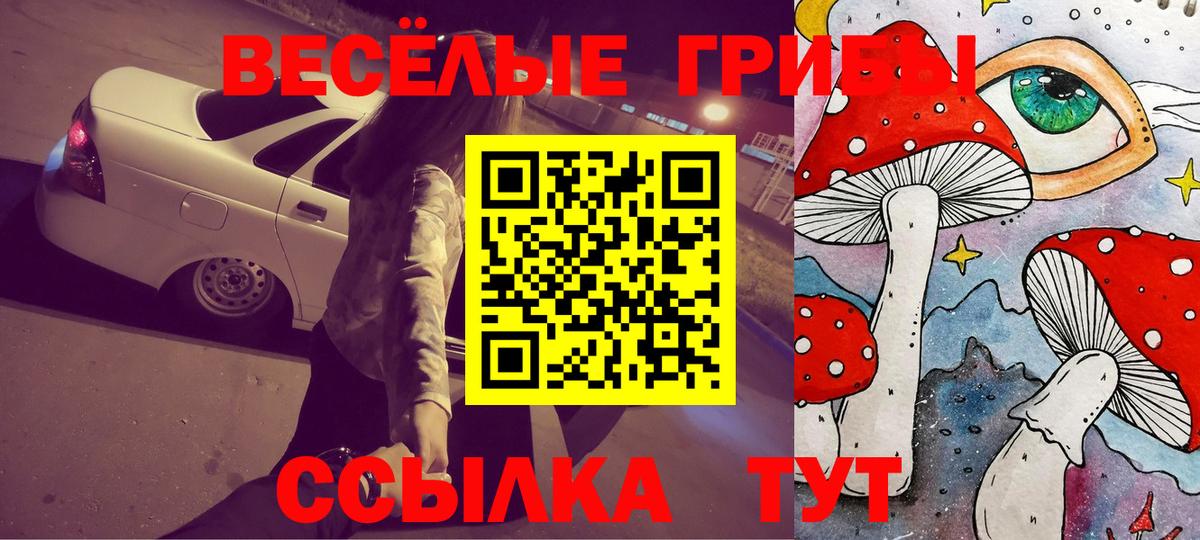 Псилоцибиновые грибы MAGIC MUSHROOMS  Вход с VPN  Междуреченск 